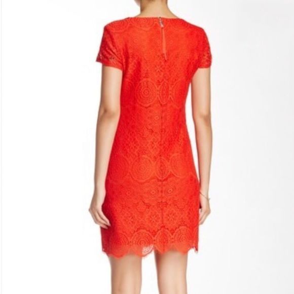 Laundry Shelli Segal Red Lace Short Sleeve Mini Dress NWT size 10 Petite - Picture 2 of 10
